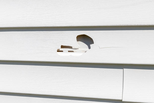 Best Aluminum Siding Installation  in Mountain Brook, AL